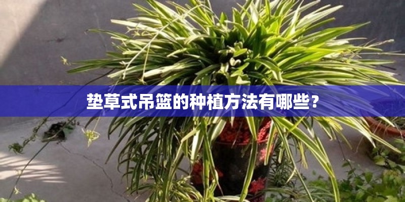垫草式吊篮的种植方法有哪些？