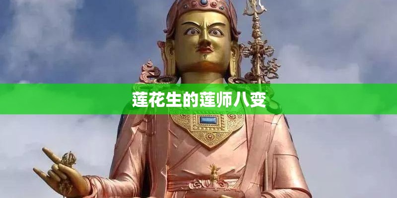 什么是植物性炭粉