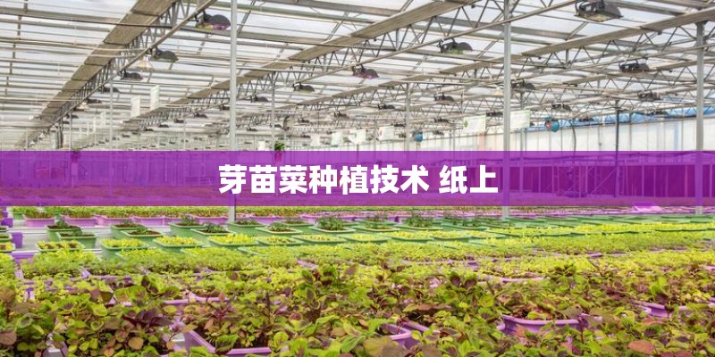 老益母草是哪种植物的花