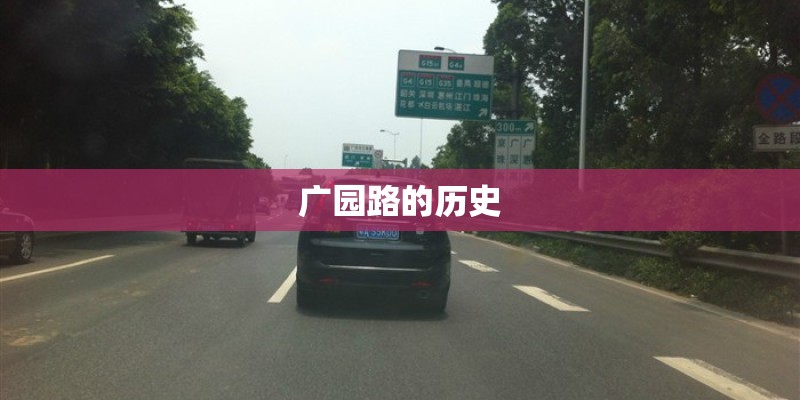 《种蚕豆》中班教案