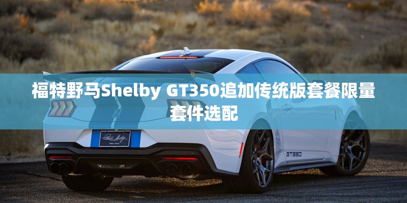 2025年利奇马台风路径