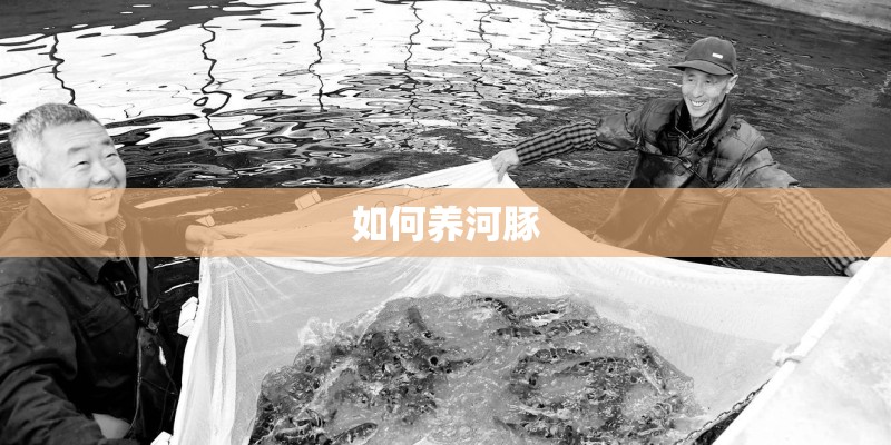 垫草式吊篮的种植方法有哪些？