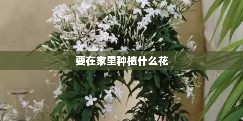 2025年利奇马台风路径