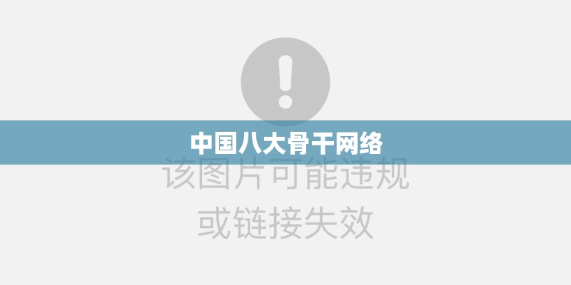 中国八大骨干网络