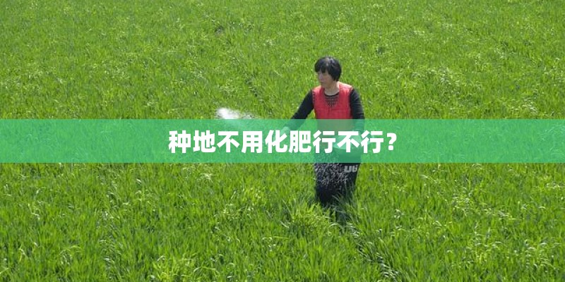 中国八大骨干网络