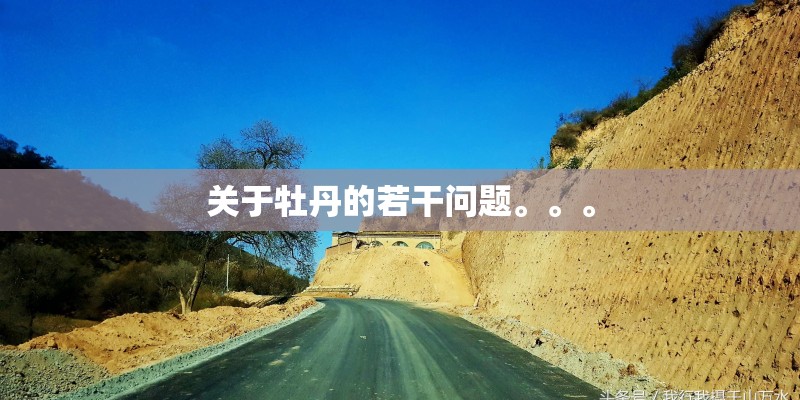 关于牡丹的若干问题。。。