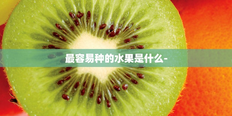 最容易种的水果是什么-