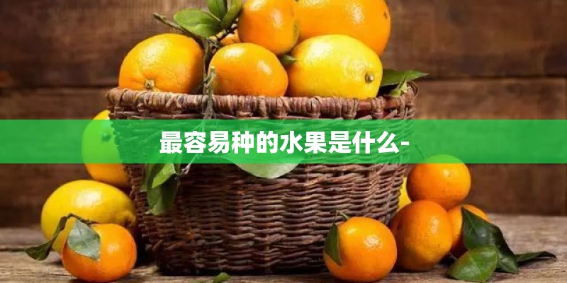 最容易种的水果是什么-