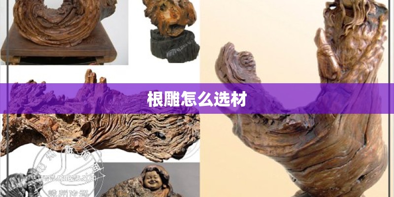根雕怎么选材