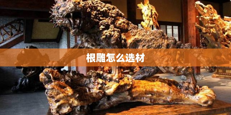 根雕怎么选材