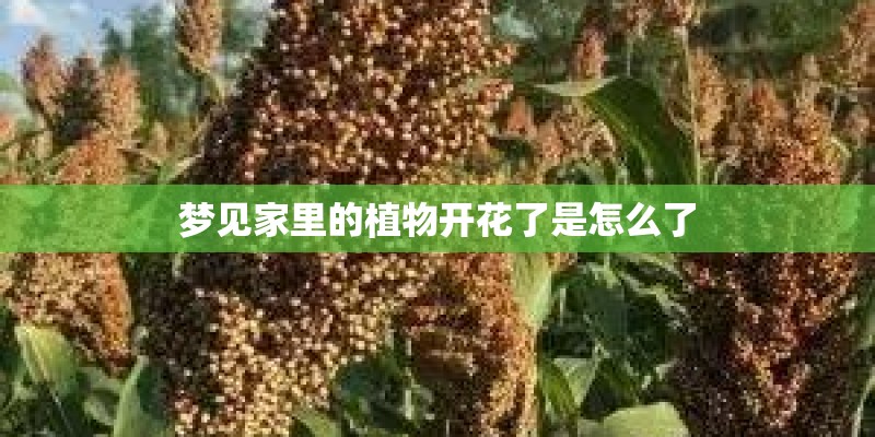 动力提升价格下降 标致5008购车手册 推荐五座中配