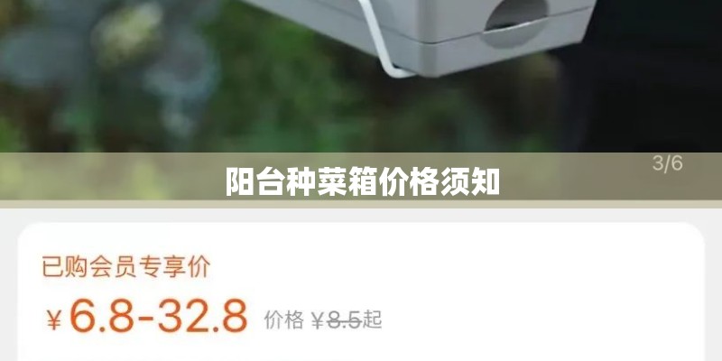 阳台种菜箱价格须知