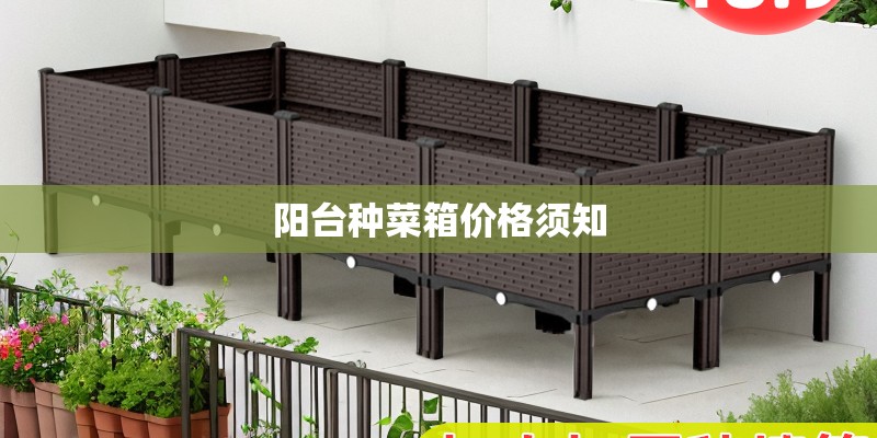 阳台种菜箱价格须知