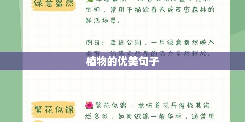 植物的优美句子