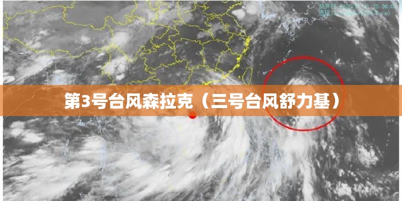 第3号台风森拉克（三号台风舒力基）