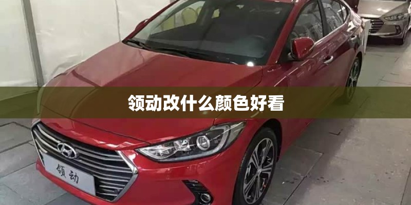 领动改什么颜色好看