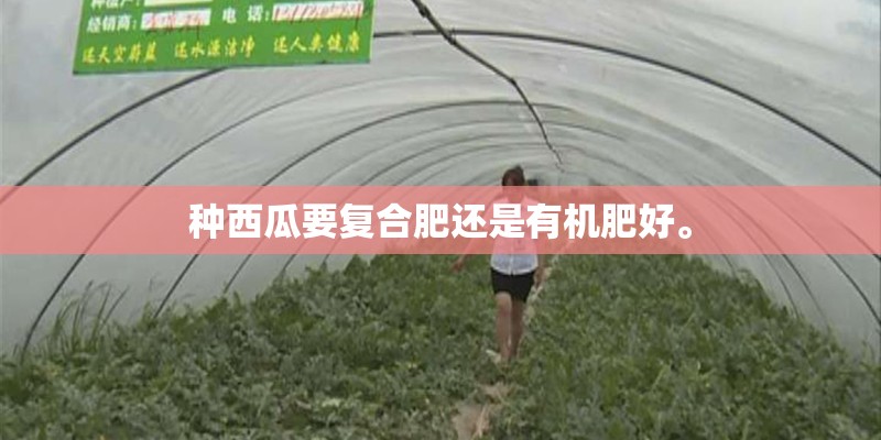 种西瓜要复合肥还是有机肥好。