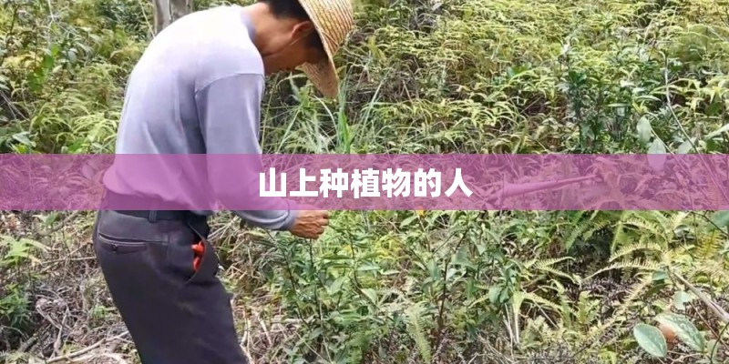 山上种植物的人