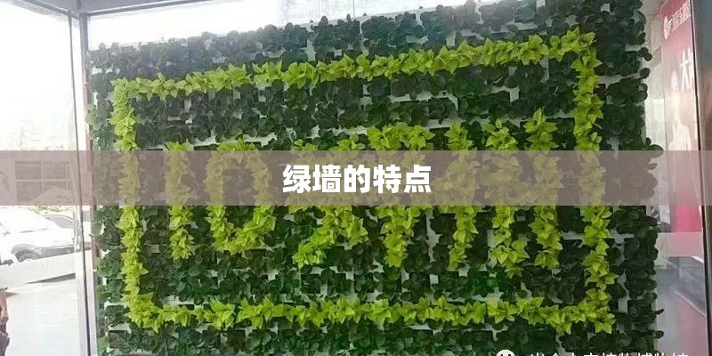 绿墙的特点