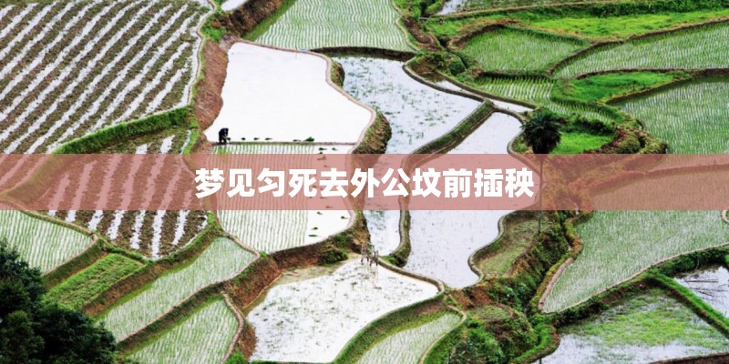 梦见匀死去外公坟前插秧 梦见匀死去外公坟前插秧
