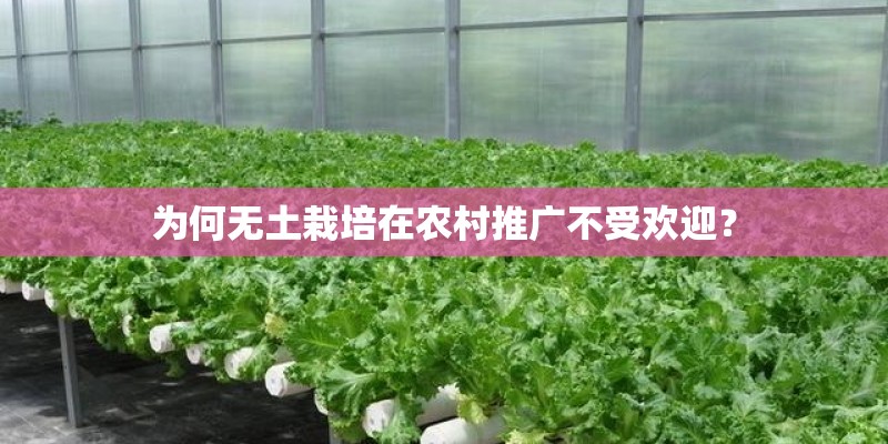 为何无土栽培在农村推广不受欢迎？