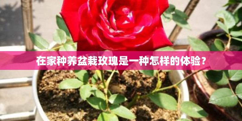 适合二十几岁的女性开的车有哪些？