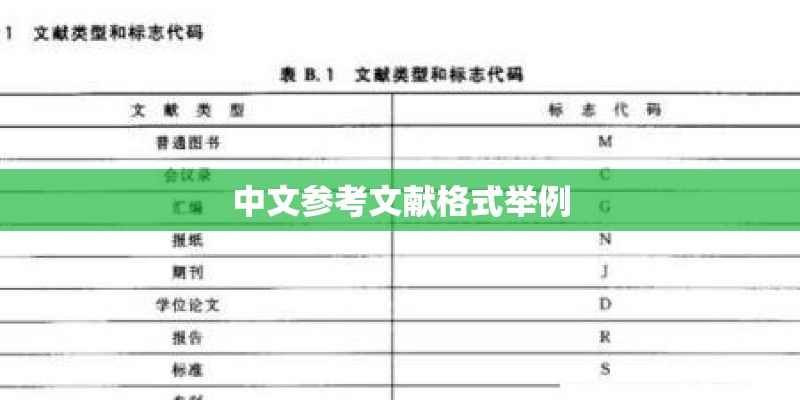 中文参考文献格式举例 中文参考文献格式举例