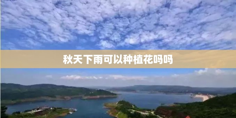 秋天下雨可以种植花吗吗